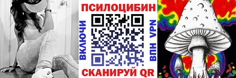 блэк спрут онион  Евпатория  Псилоцибиновые грибы GOLDEN TEACHER 