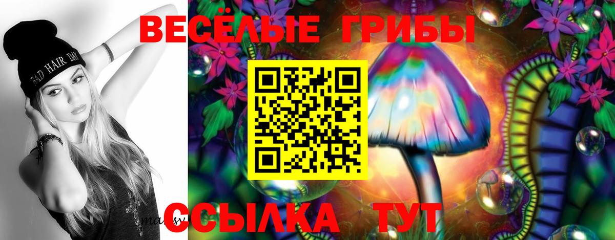Псилоцибиновые грибы мицелий Евпатория